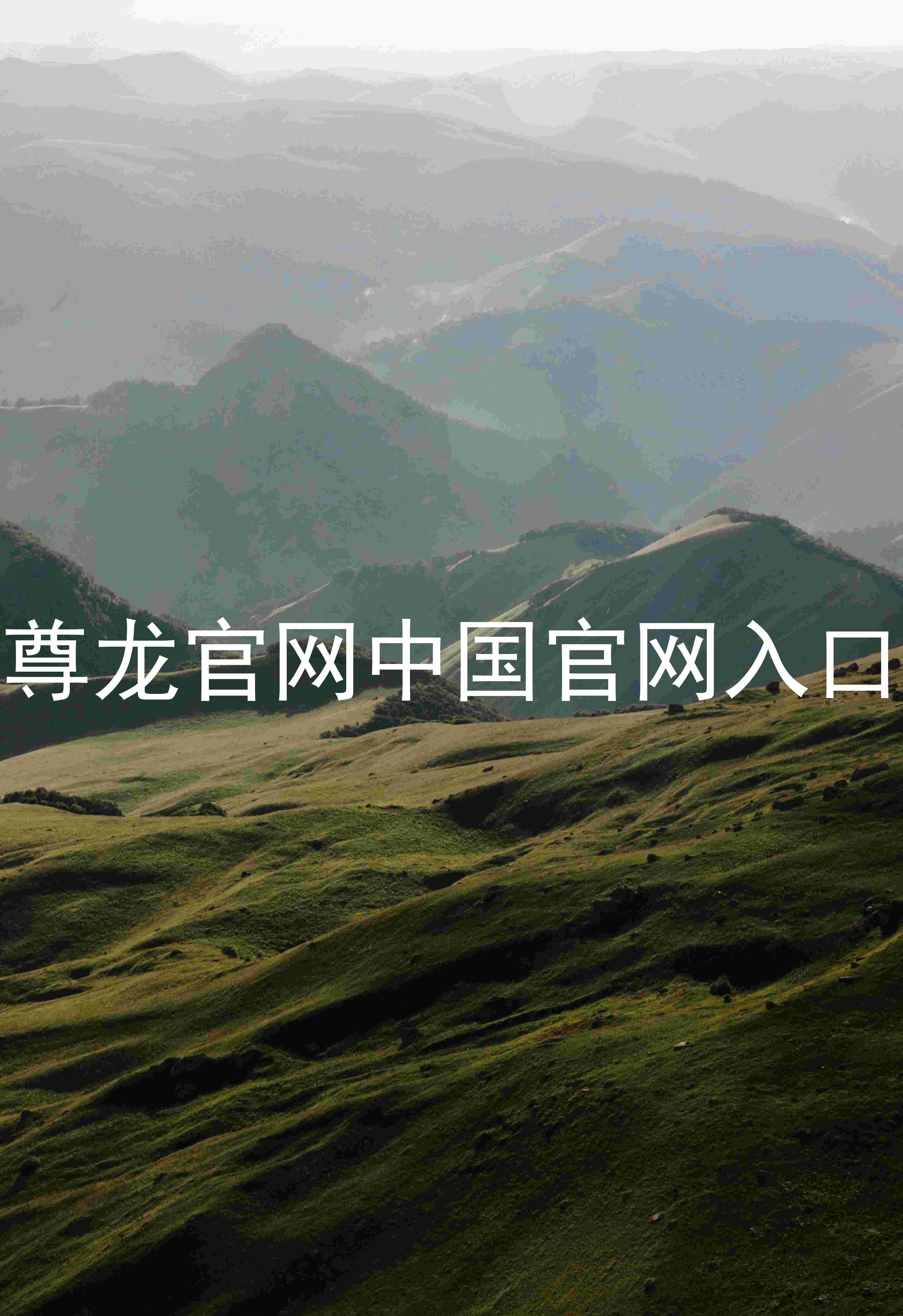 尊龙官网中国官网入口