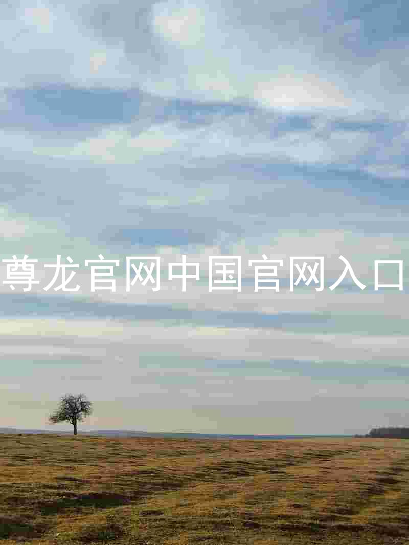 尊龙官网中国官网入口