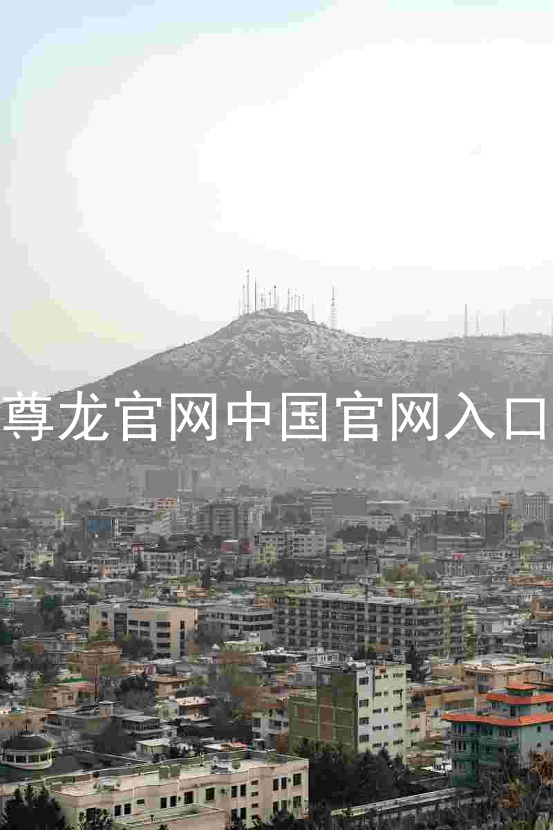 尊龙官网中国官网入口