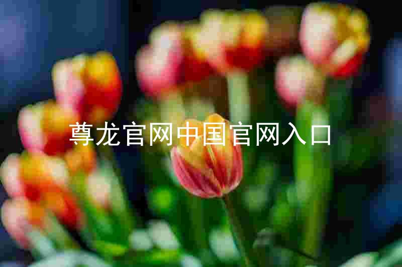 尊龙官网中国官网入口