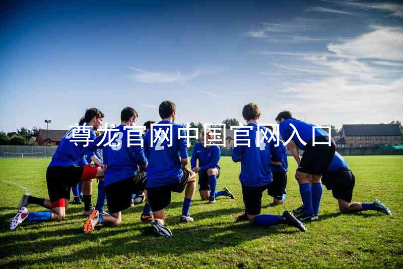 尊龙官网中国官网入口