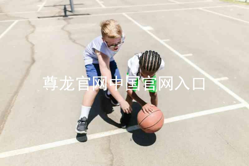 尊龙官网中国官网入口