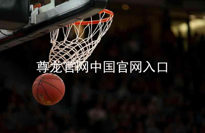 尊龙官网中国官网入口
