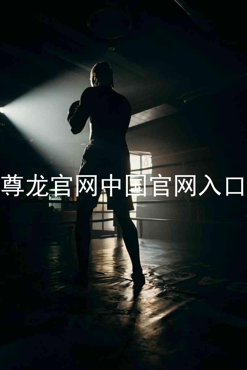 尊龙官网中国官网入口