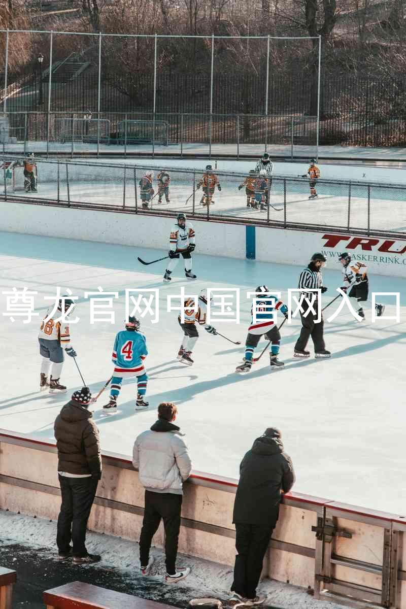 尊龙官网中国官网入口