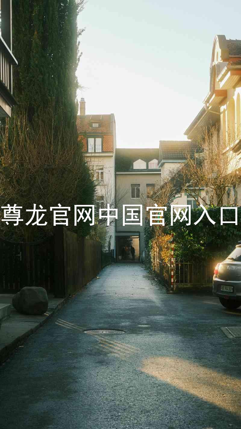 尊龙官网中国官网入口