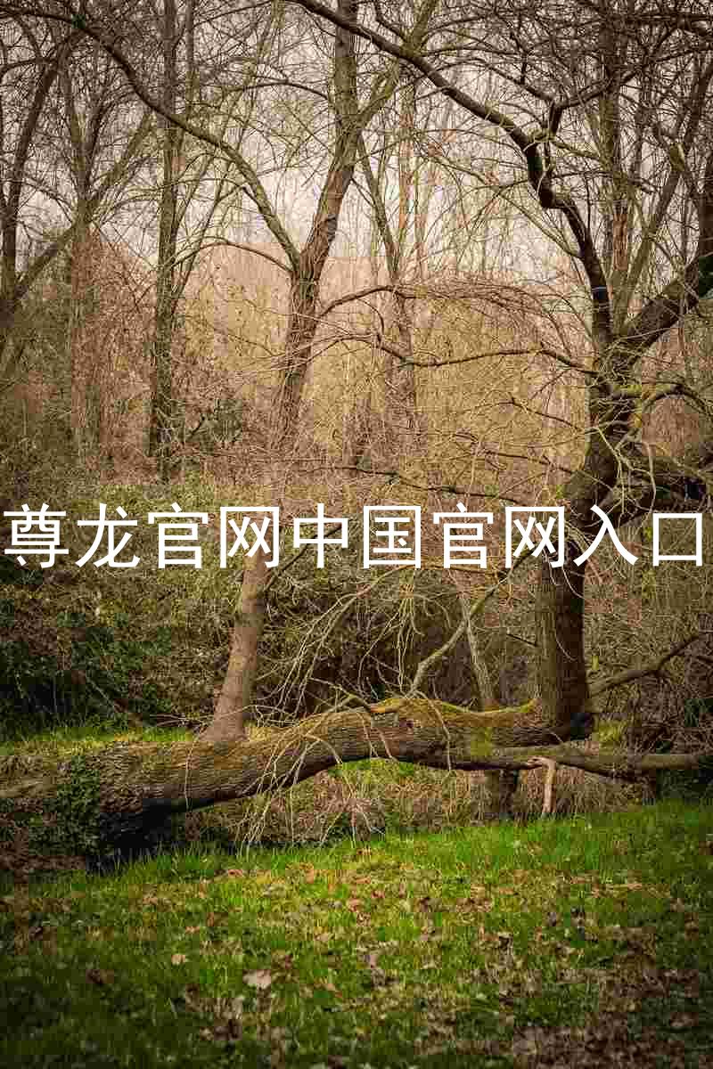 尊龙官网中国官网入口