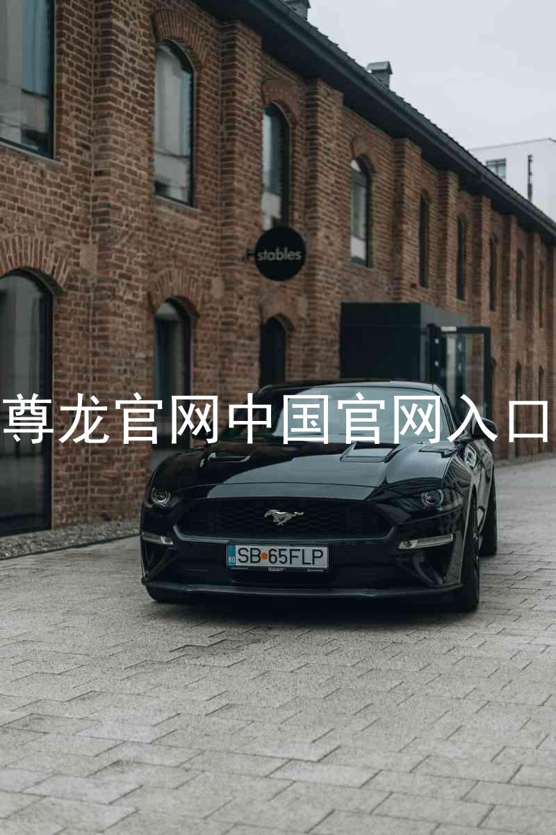 尊龙官网中国官网入口