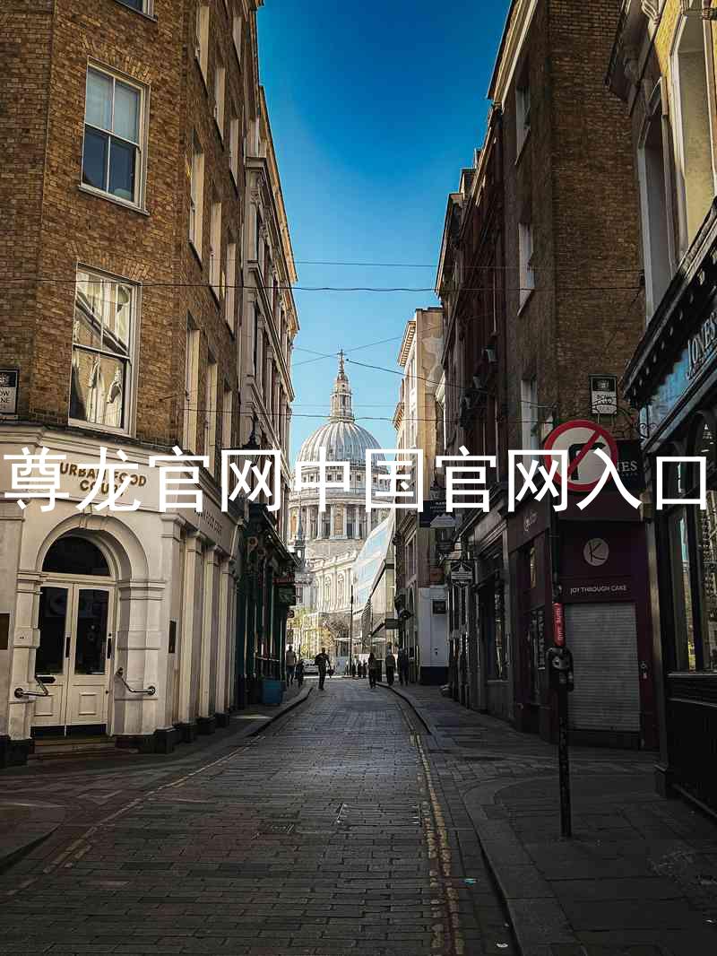 尊龙官网中国官网入口