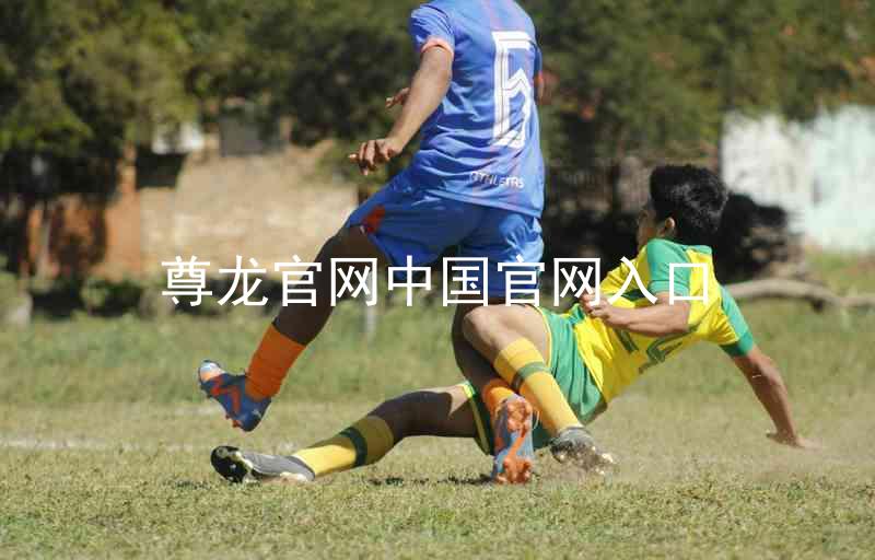 尊龙官网中国官网入口