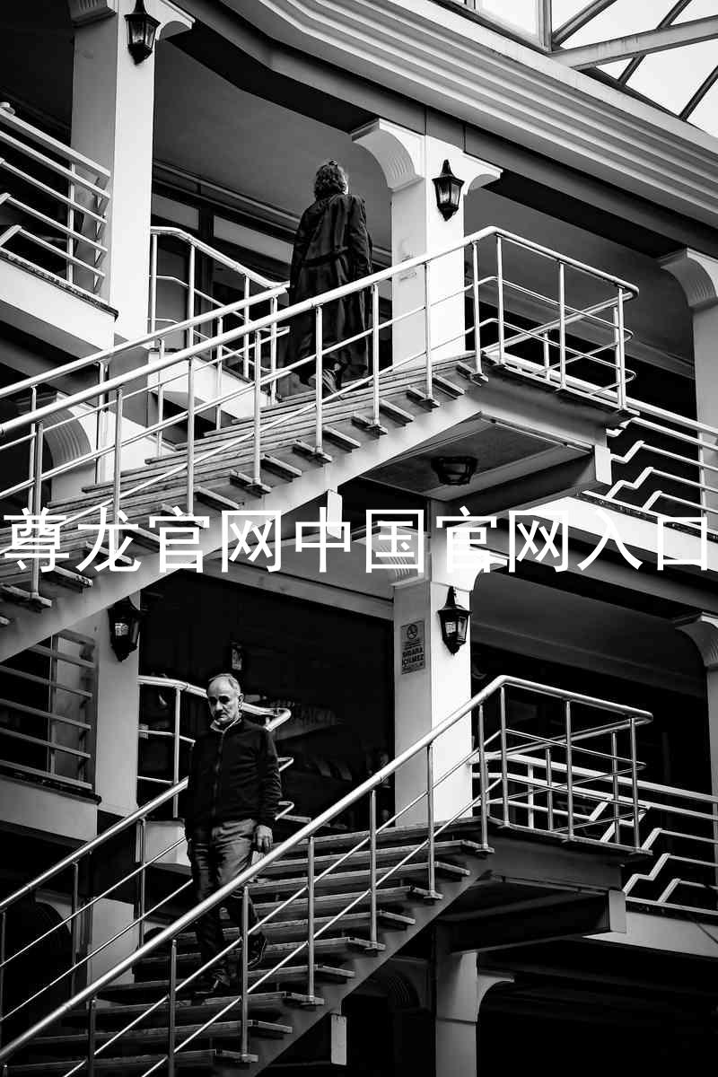 尊龙官网中国官网入口