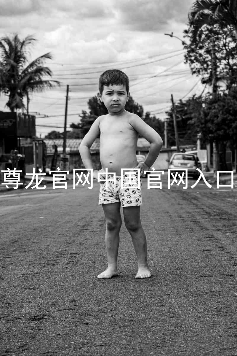 尊龙官网中国官网入口
