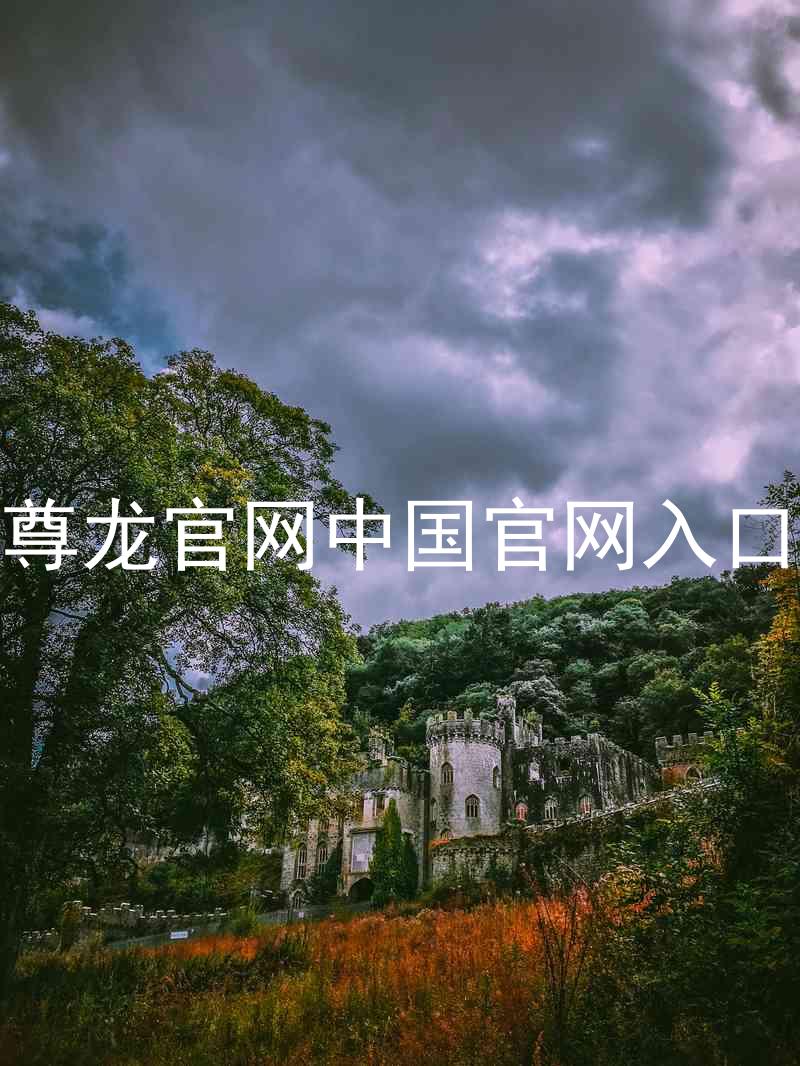 尊龙官网中国官网入口