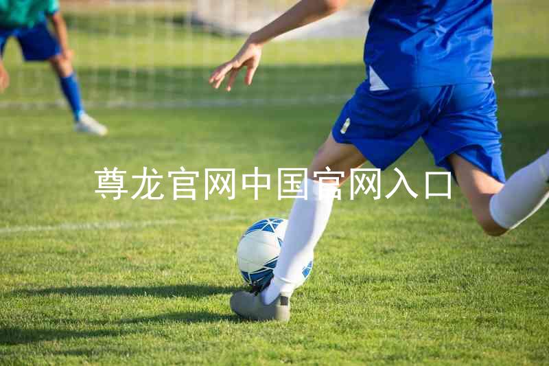 尊龙官网中国官网入口